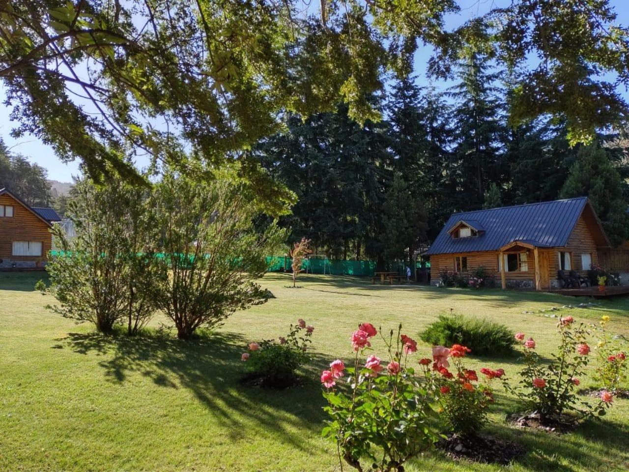Haus Lodge *